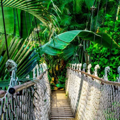 I'm A Celebrity Politicians